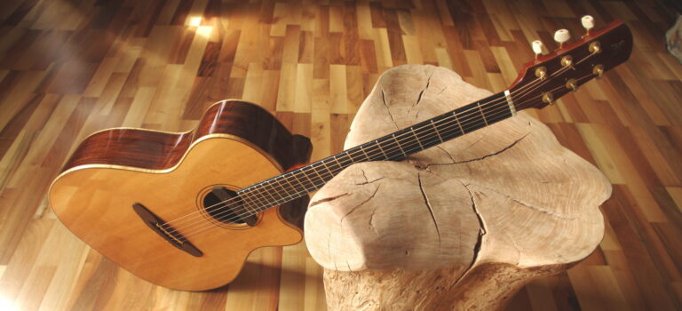 Wenn die Akustikgitarre auch verstärkt gut klingen darf
